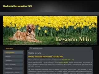 Podgląd tesoromio.pl