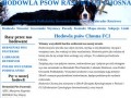 Podgląd chosna.pl