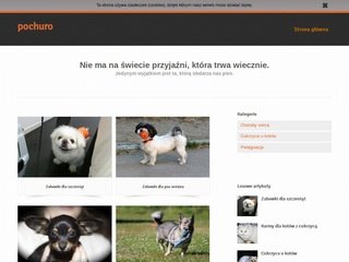 Podgląd pochuro.pl