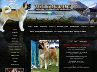 Podgląd akita-volturnus.pl