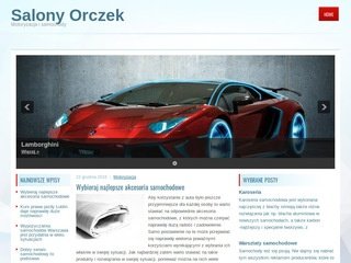 Podgląd salonyorczek.pl