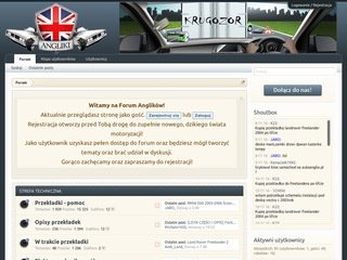 Podgląd angliki.info