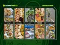 Podgląd cateringslask.pl
