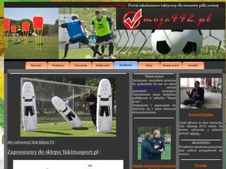 Podgląd moje442.pl