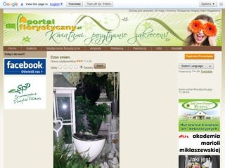 Podgląd portalflorystyczny.pl