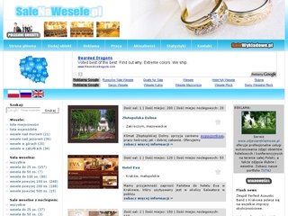 Podgląd swiatlo-sc.pl