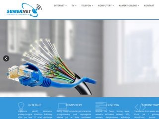 Miniaturka sumernet.pl