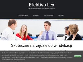 Podgląd efektivo.pl