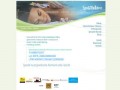 Podgląd spa-szczyrk.pl
