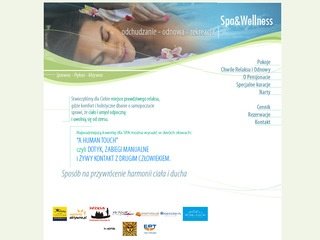 Podgląd spa-szczyrk.pl
