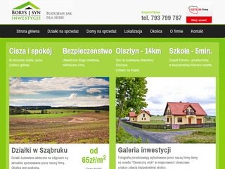 Podgląd borysisyn.pl