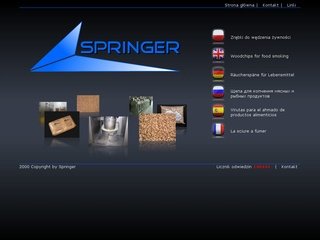 Miniaturka springer-polska.com