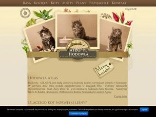 Podgląd atlaskoty.pl