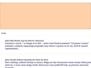 Podgląd medico-brain.pl