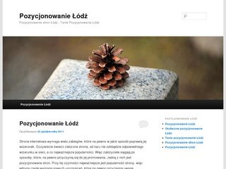 Podgląd webpass.pl