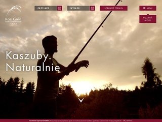 Podgląd kozigrod.pl