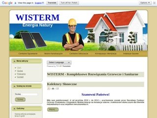 Podgląd wisterm.pl