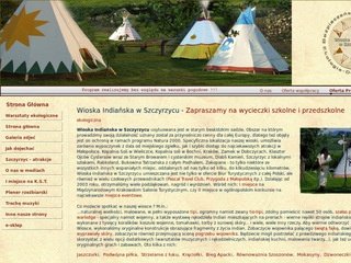 Podgląd wioskaindianska.pl