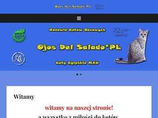 Podgląd kotyrasowe.pl