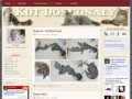 Podgląd kotdoskonaly.pl