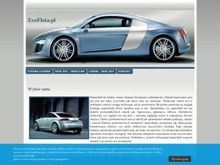 Miniaturka ecoflota.com.pl