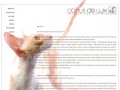 Podgląd cattusdelux.com