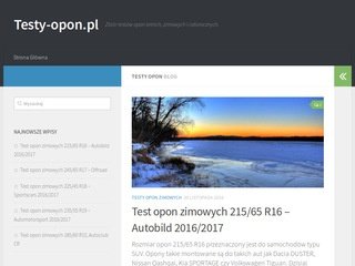 Podgląd e-auta.com.pl