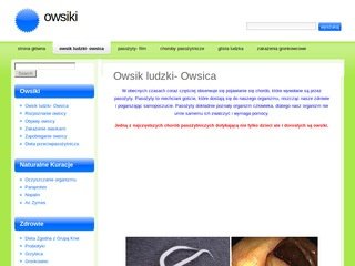 Podgląd owsiki.eu