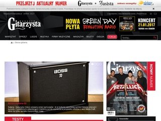 Miniaturka magazyngitarzysta.pl