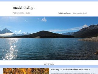Podgląd madeinhell.pl