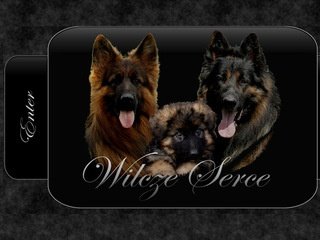 Podgląd wilcze_serce.ovh.org