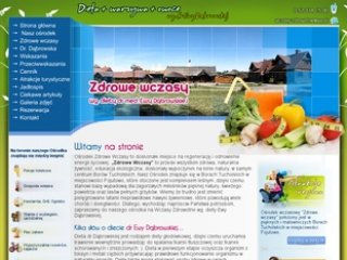 Podgląd zdrowe-wczasy.pl
