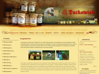 Podgląd dutkowiak.pl