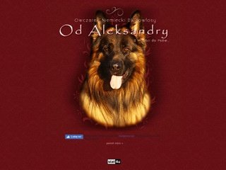 Podgląd owczarek-dlugowlosy.com.pl