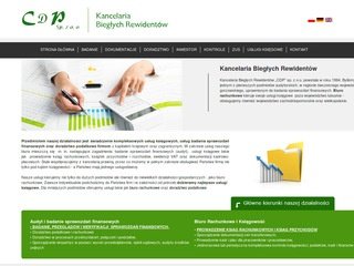Podgląd cdp-audit.pl