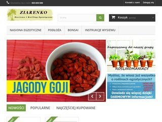 Miniaturka ziarenko.net