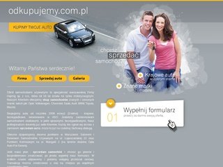 Podgląd odkupauta.pl
