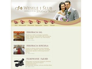 Podgląd studio-am.pl