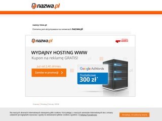 Podgląd nanny-time.pl