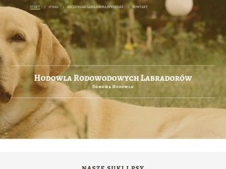 Podgląd sosnowylas.pl