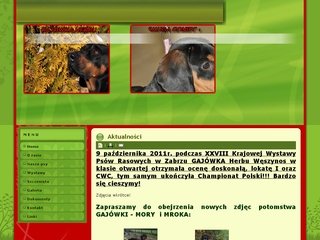 Podgląd rasagonczypolski.pl
