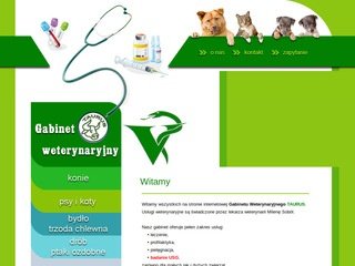 Podgląd taurusgabiwet.pl