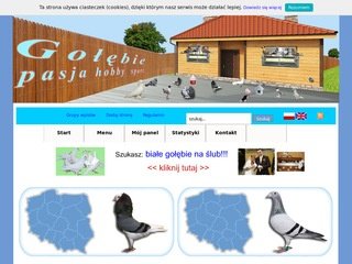 Podgląd golebie.vot.pl