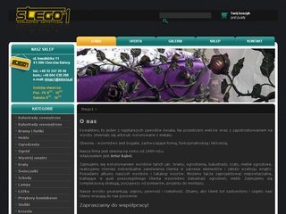 Podgląd stego1.pl