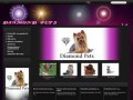 Podgląd dog-friendly.pl