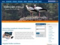 Podgląd biskupiec.com.pl