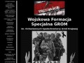 Podgląd grom.mil.pl