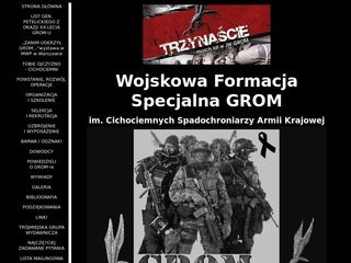 Miniaturka grom.mil.pl
