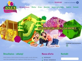 Podgląd avex.com.pl