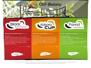 Miniaturka ckf-bielany.pl